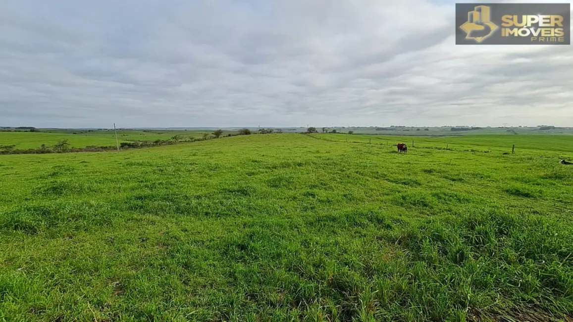 Foto 6 de Fazenda / Haras com 3 quartos à venda, 2000000m2 em Acegua - RS