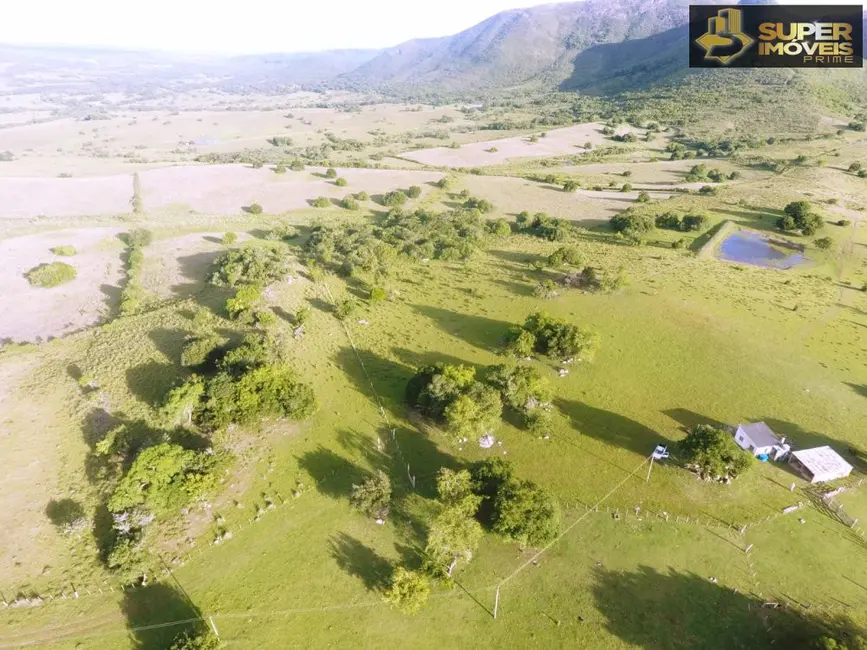 Foto 4 de Fazenda / Haras com 2 quartos à venda, 1560000m2 em Centro, Herval - RS