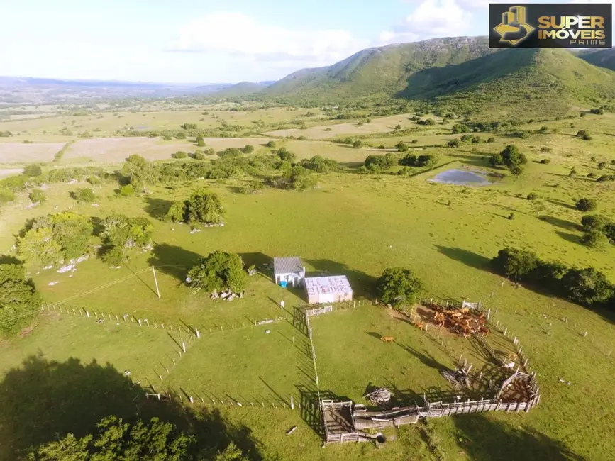 Foto 1 de Fazenda / Haras com 2 quartos à venda, 1560000m2 em Centro, Herval - RS