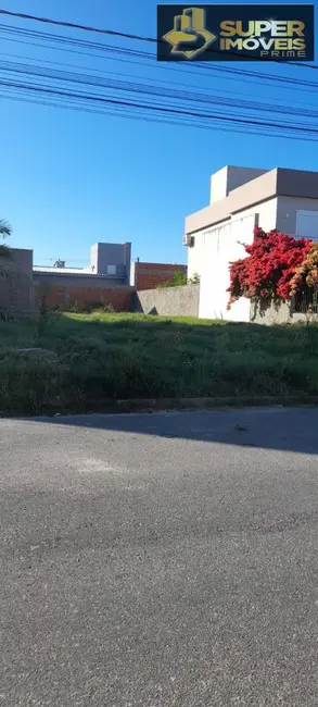 Terreno / Lote à venda, 250m2 em Laranjal, Pelotas - RS - imagem 3 Foto 3 de Terreno / Lote à venda, 250m2 em Laranjal, Pelotas - RS