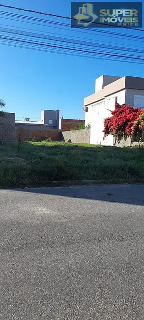 Foto 3 de Terreno / Lote à venda, 250m2 em Laranjal, Pelotas - RS