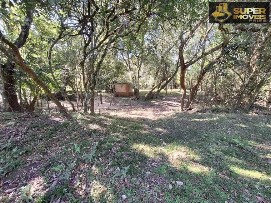 Foto 7 de Chácara com 2 quartos à venda, 17000m2 em Rincão da Cruz, Pelotas - RS