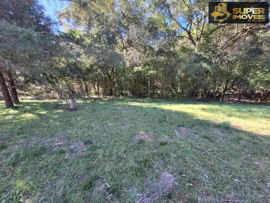 Foto 6 de Chácara com 2 quartos à venda, 17000m2 em Rincão da Cruz, Pelotas - RS
