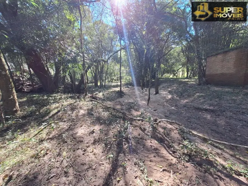 Foto 8 de Chácara com 2 quartos à venda, 17000m2 em Rincão da Cruz, Pelotas - RS