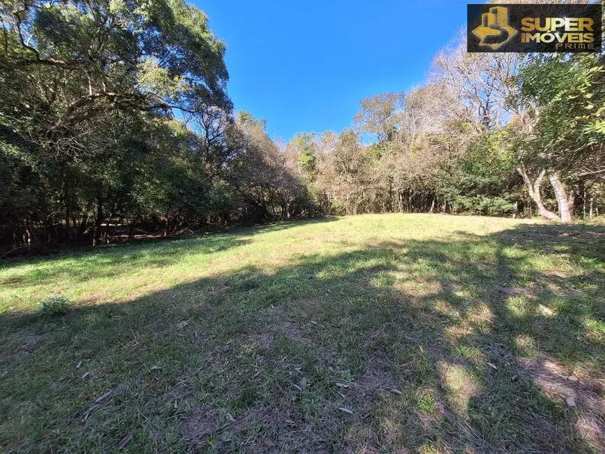 Foto 5 de Chácara com 2 quartos à venda, 17000m2 em Rincão da Cruz, Pelotas - RS