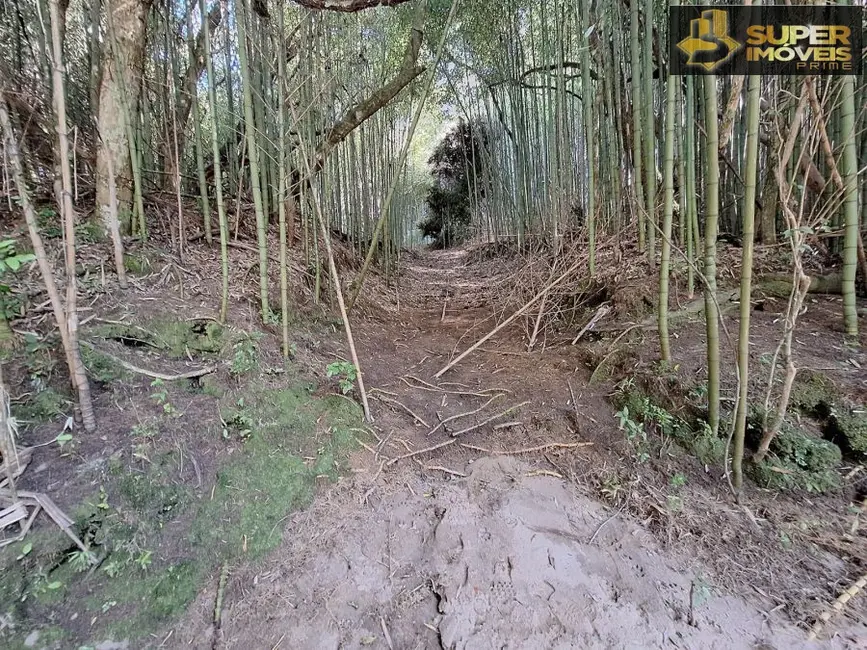Foto 9 de Chácara com 2 quartos à venda, 17000m2 em Rincão da Cruz, Pelotas - RS