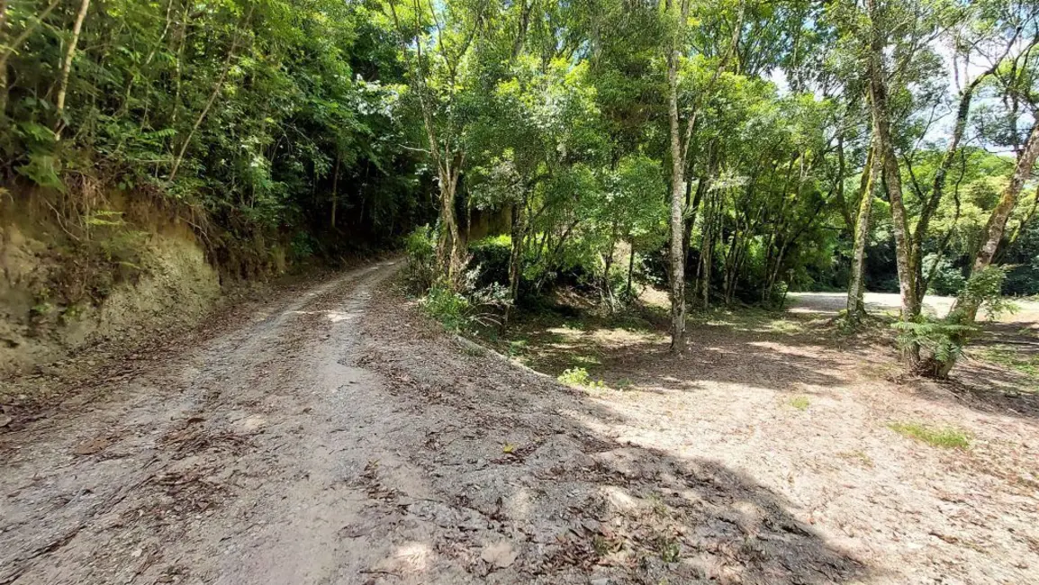 Foto 2 de Chácara à venda, 10000m2 em Agrolandia - SC