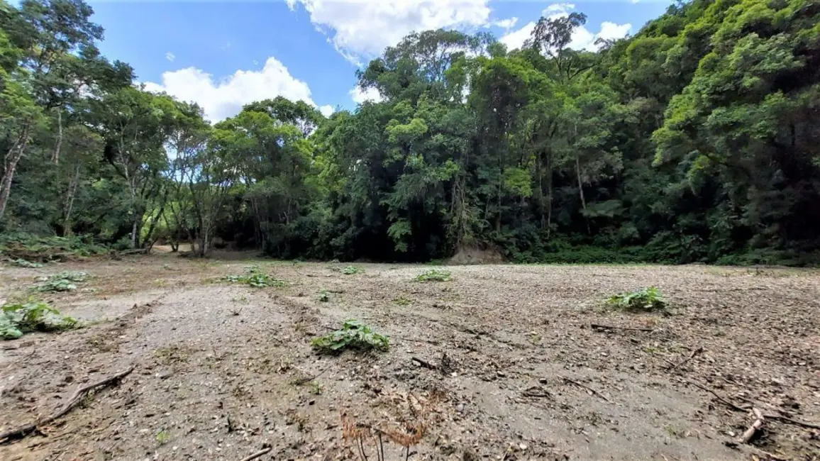 Foto 6 de Chácara à venda, 10000m2 em Agrolandia - SC