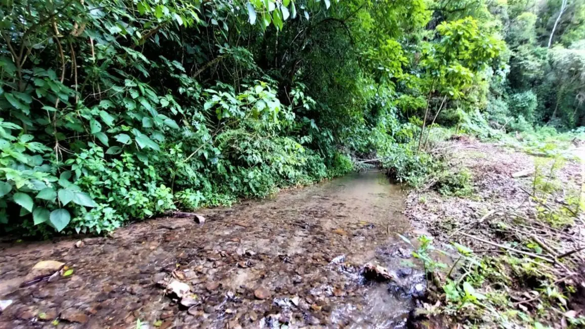 Foto 7 de Chácara à venda, 10000m2 em Agrolandia - SC