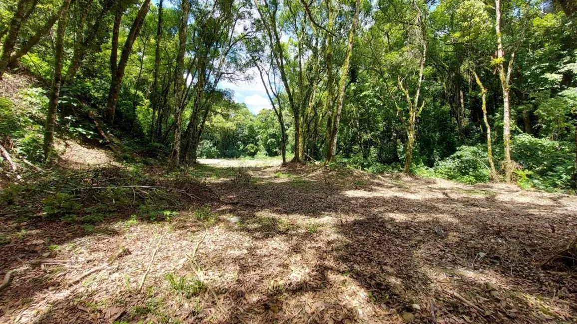 Foto 3 de Chácara à venda, 10000m2 em Agrolandia - SC
