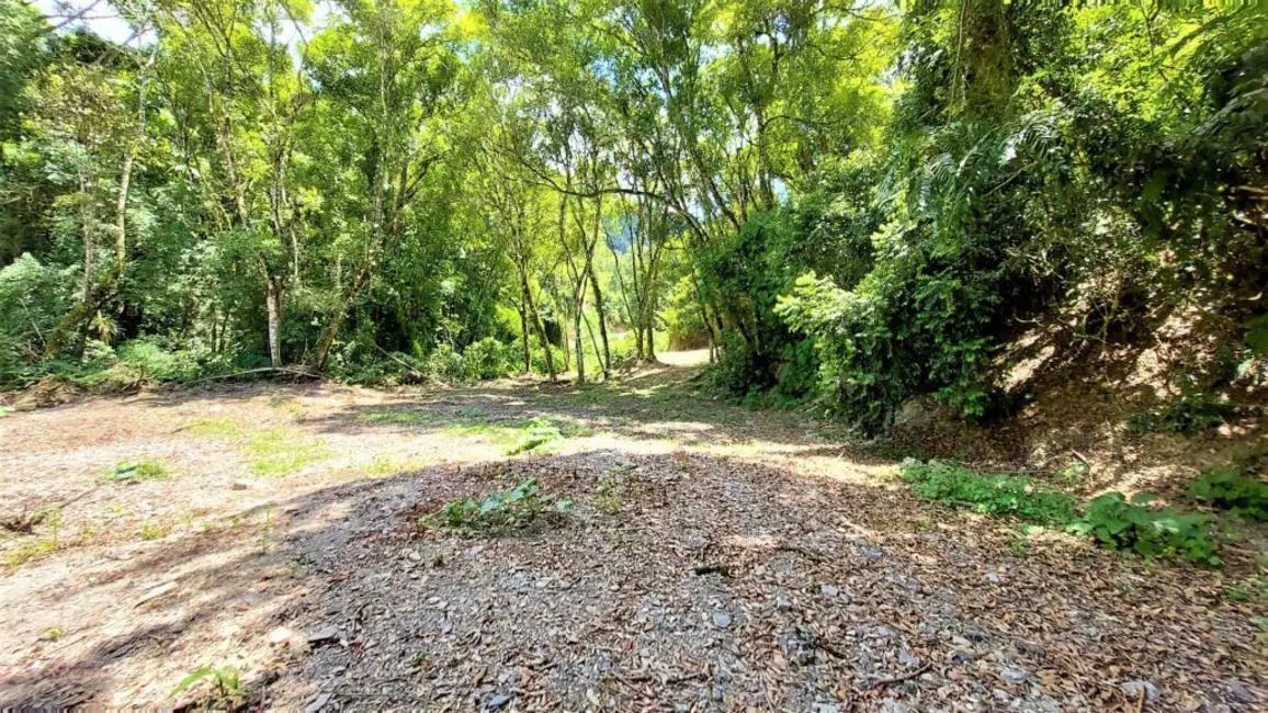 Foto 9 de Chácara à venda, 10000m2 em Agrolandia - SC