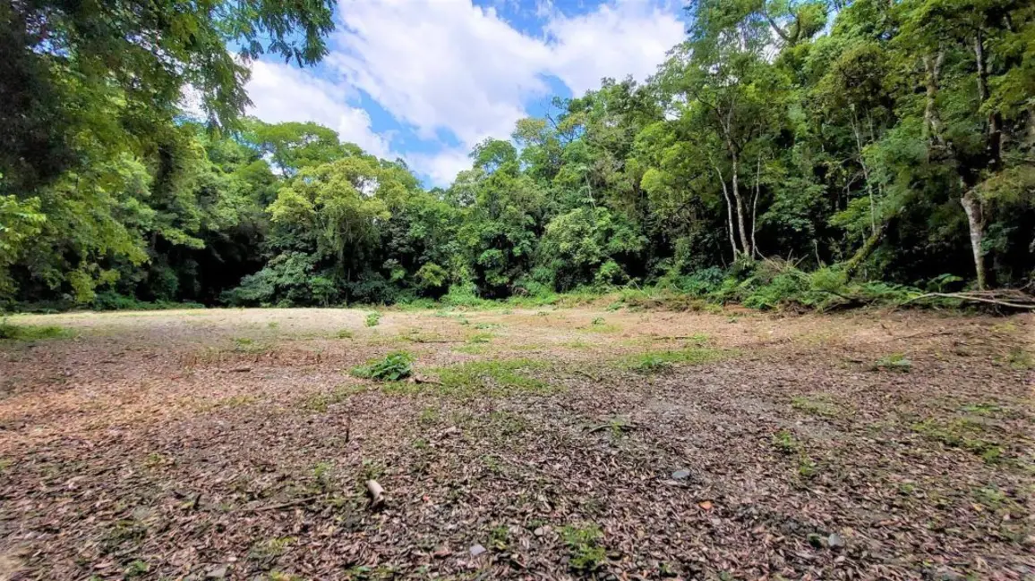 Foto 5 de Chácara à venda, 10000m2 em Agrolandia - SC