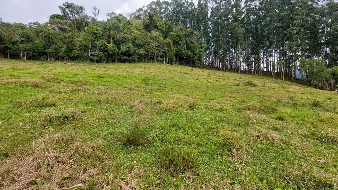 Foto 13 de Chácara à venda, 20000m2 em Agrolandia - SC
