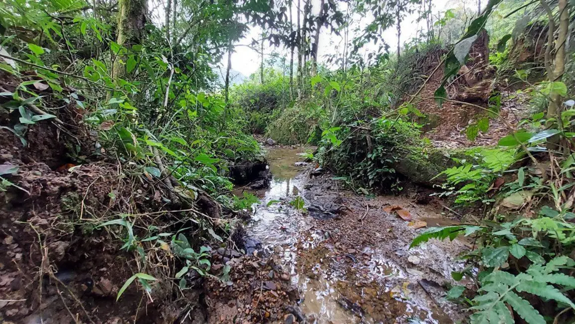 Foto 6 de Chácara à venda, 20000m2 em Agrolandia - SC