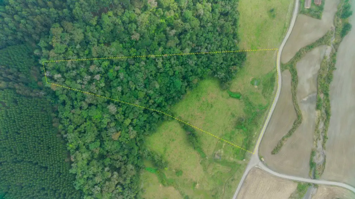 Foto 21 de Chácara à venda, 20000m2 em Agrolandia - SC