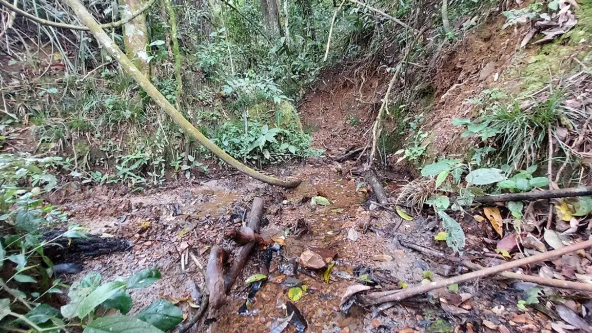 Foto 5 de Chácara à venda, 20000m2 em Agrolandia - SC