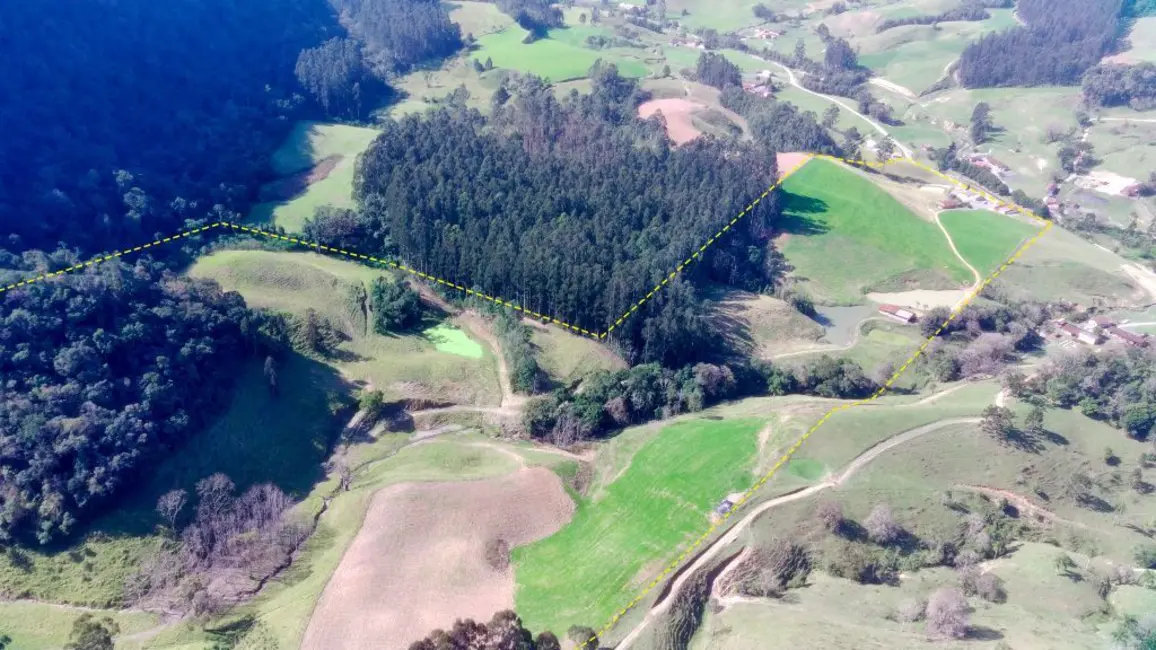 Foto 4 de Chácara com 3 quartos à venda, 230000m2 em Agrolandia - SC