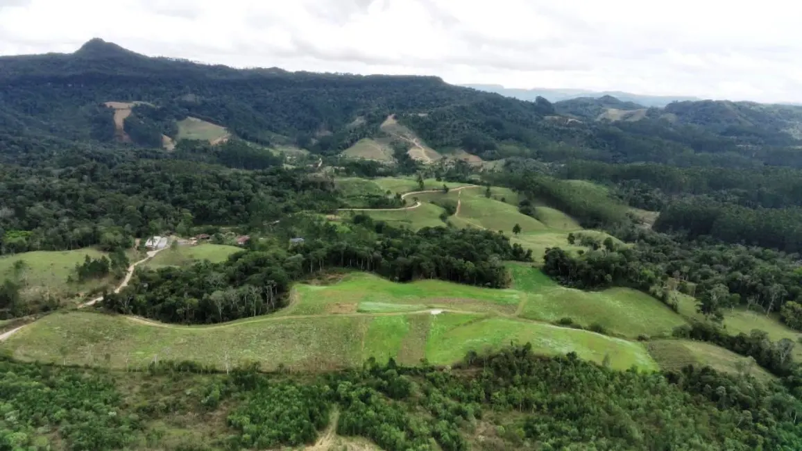 Chácara com 6 quartos à venda, 250000m2 em Apiuna - SC - imagem 4 Foto 4 de Chácara com 6 quartos à venda, 250000m2 em Apiuna - SC