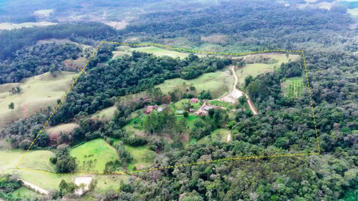 Chácara com 6 quartos à venda, 250000m2 em Apiuna - SC - imagem 8 Foto 8 de Chácara com 6 quartos à venda, 250000m2 em Apiuna - SC