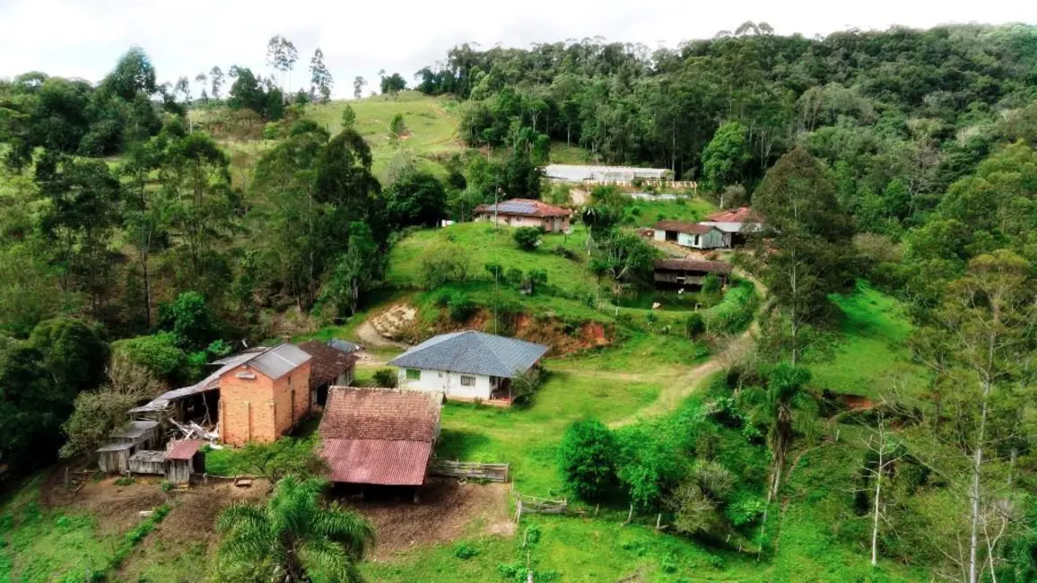 Foto 2 de Chácara com 6 quartos à venda, 250000m2 em Apiuna - SC