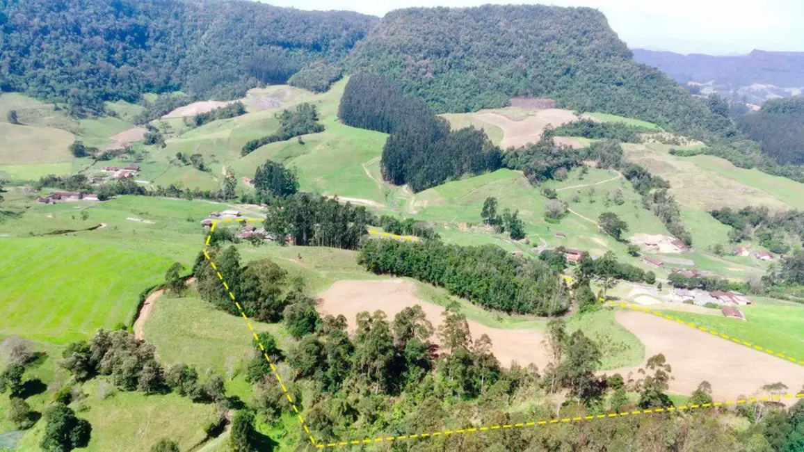 Foto 9 de Chácara com 3 quartos à venda, 100000m2 em Agrolandia - SC