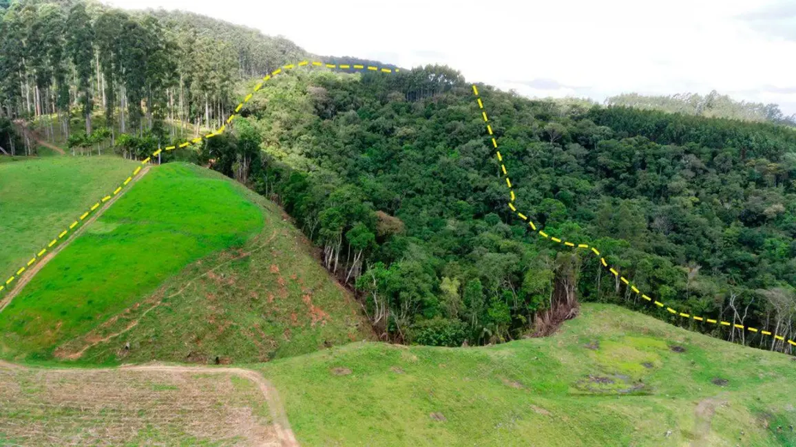Foto 9 de Chácara com 5 quartos à venda, 140000m2 em Presidente Nereu - SC