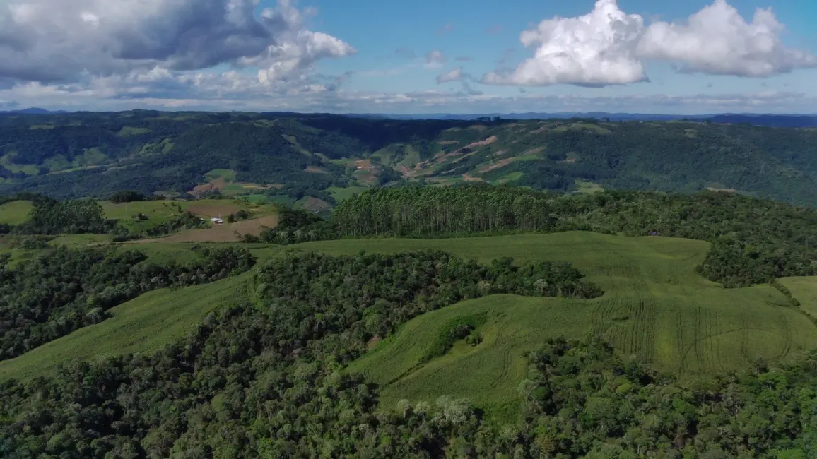 Fazenda / Haras com 2 quartos à venda, 920000m2 em Leoberto Leal - SC - imagem 9 Foto 9 de Fazenda / Haras com 2 quartos à venda, 920000m2 em Leoberto Leal - SC