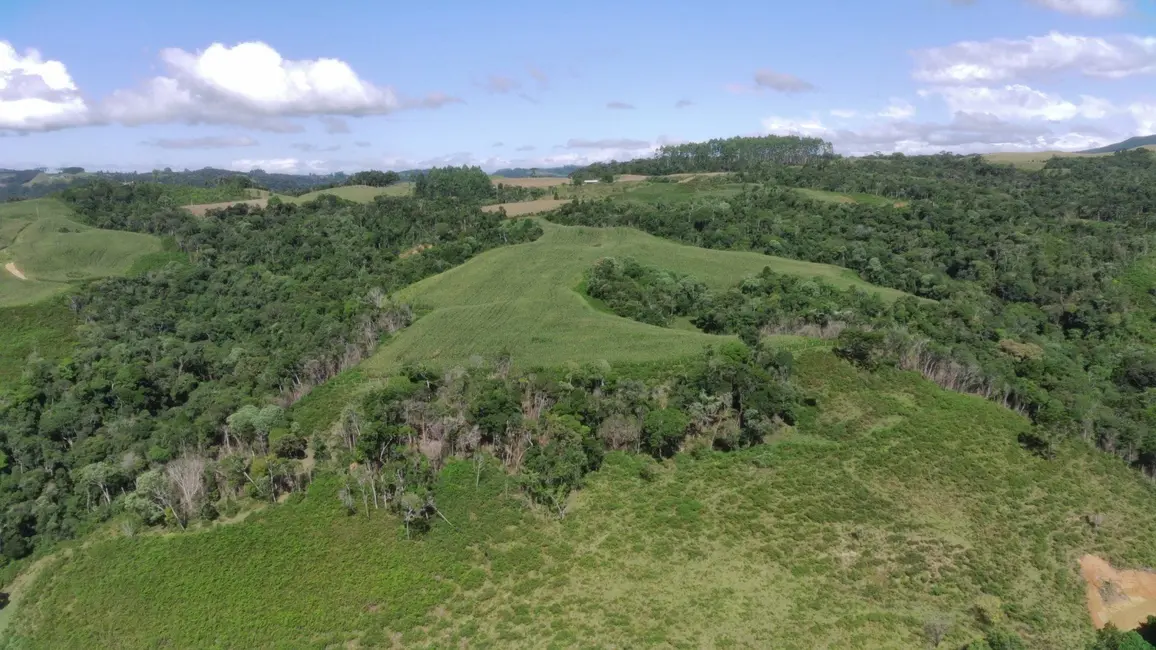 Fazenda / Haras com 2 quartos à venda, 920000m2 em Leoberto Leal - SC - imagem 5 Foto 5 de Fazenda / Haras com 2 quartos à venda, 920000m2 em Leoberto Leal - SC