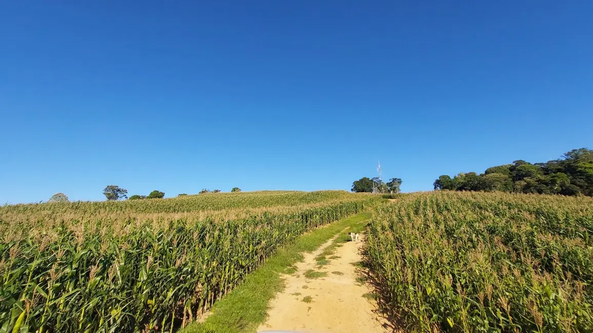 Foto 1 de Fazenda / Haras com 2 quartos à venda, 920000m2 em  - SC