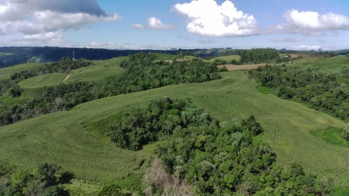 Fazenda / Haras com 2 quartos à venda, 920000m2 em Leoberto Leal - SC - imagem 4 Foto 4 de Fazenda / Haras com 2 quartos à venda, 920000m2 em Leoberto Leal - SC