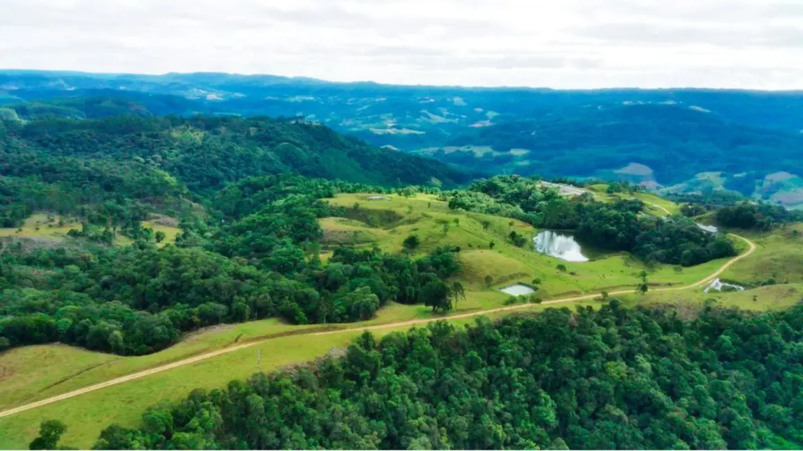 Foto 4 de Fazenda / Haras com 2 quartos à venda, 950000m2 em Presidente Nereu - SC