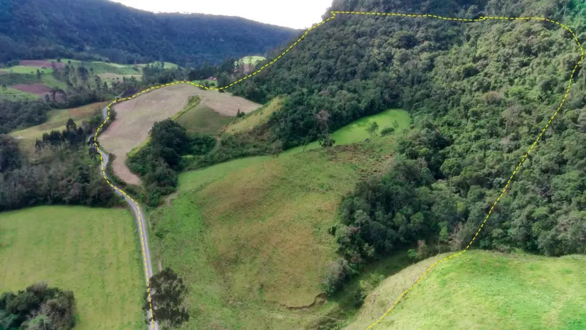 Foto 9 de Fazenda / Haras à venda, 120000m2 em Agrolandia - SC