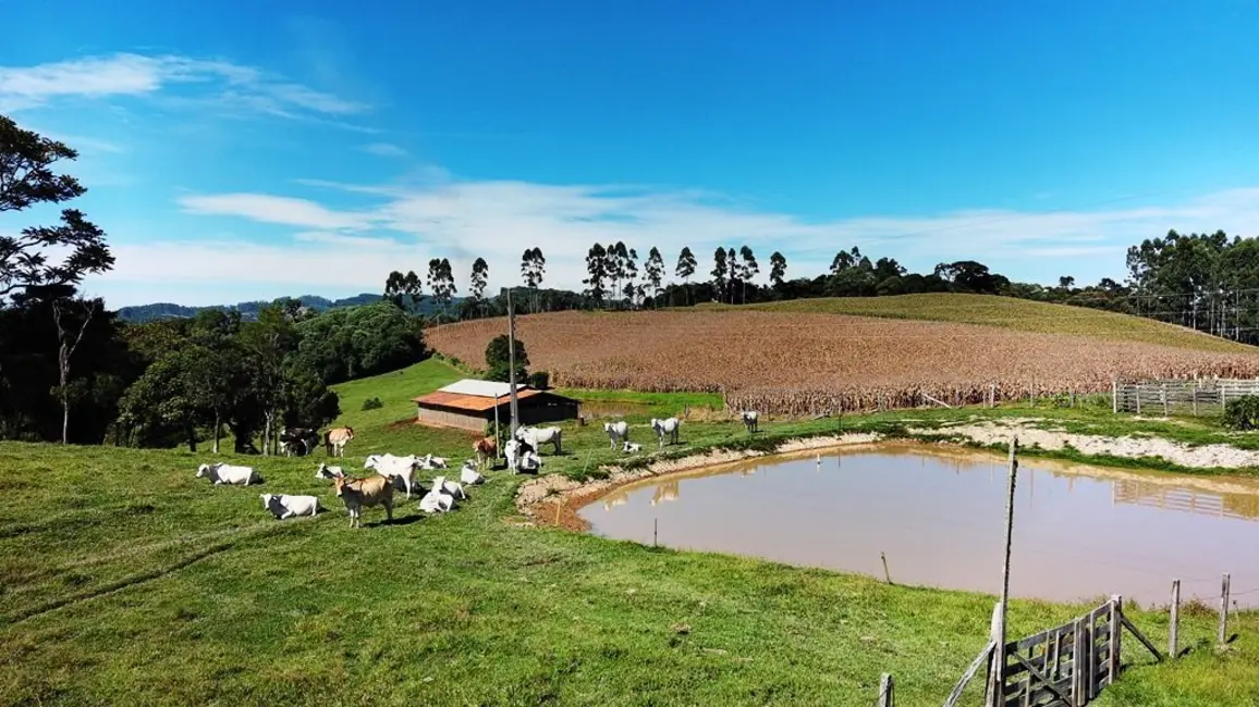 Foto 8 de Chácara com 2 quartos à venda, 245000m2 em Vidal Ramos - SC