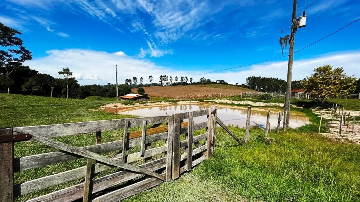 Foto 6 de Chácara com 2 quartos à venda, 245000m2 em Vidal Ramos - SC