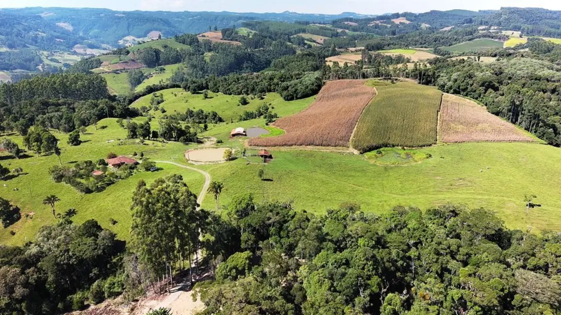Foto 7 de Chácara com 2 quartos à venda, 245000m2 em Vidal Ramos - SC