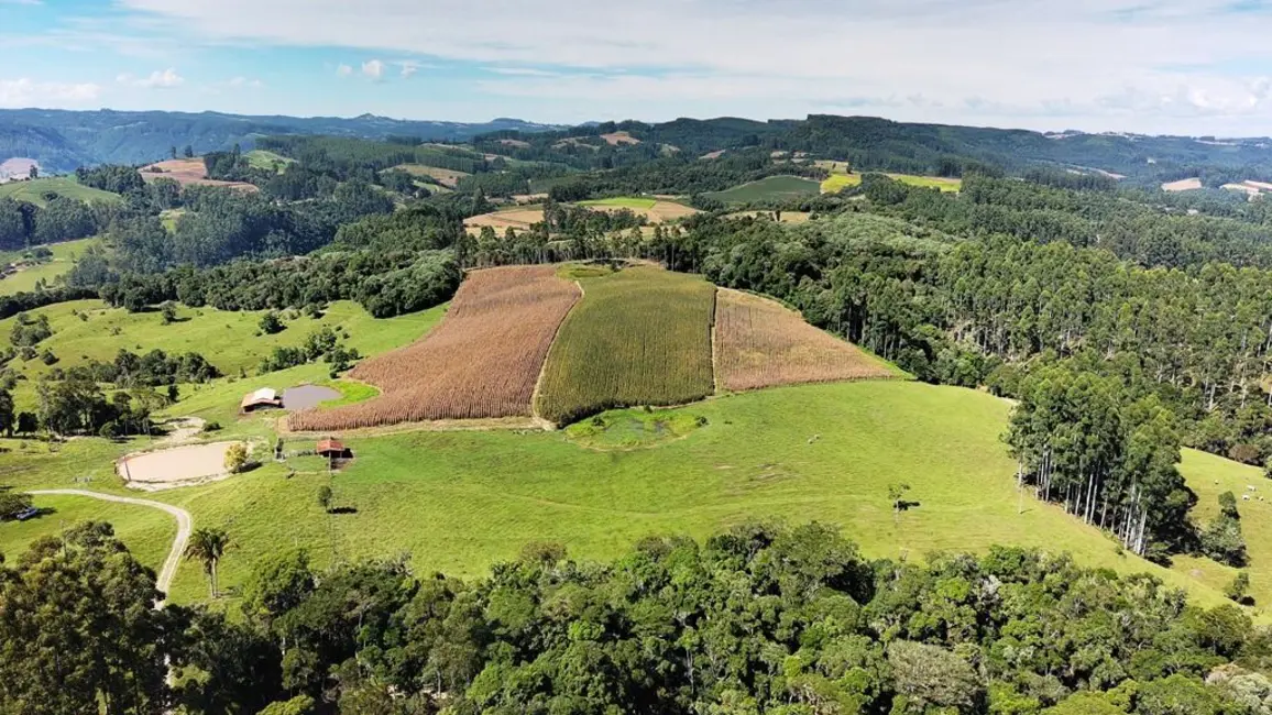 Foto 9 de Chácara com 2 quartos à venda, 245000m2 em Vidal Ramos - SC