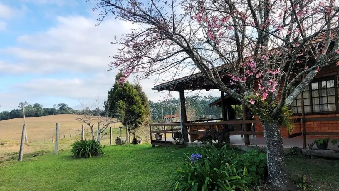 Foto 3 de Chácara com 2 quartos à venda, 245000m2 em Vidal Ramos - SC