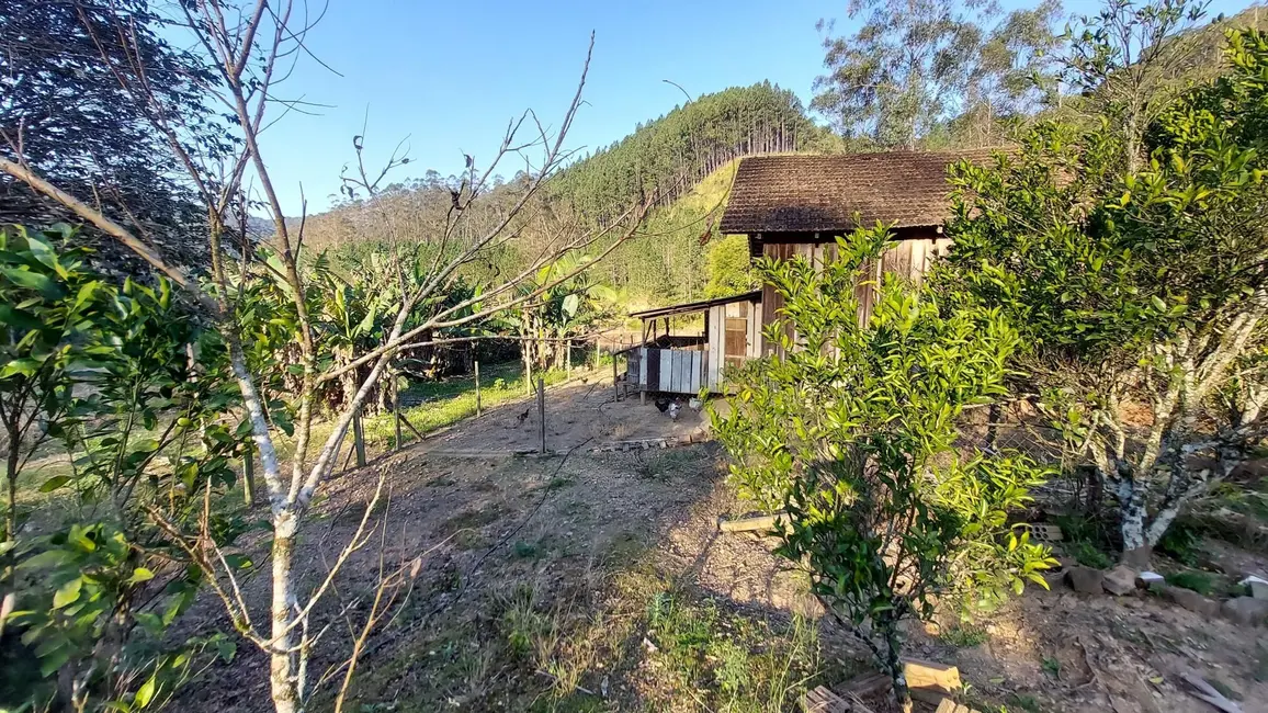 Foto 9 de Chácara com 3 quartos à venda, 140000m2 em Presidente Nereu - SC