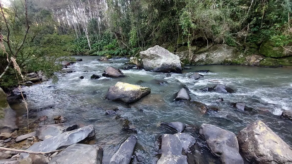 Foto 4 de Chácara com 3 quartos à venda, 140000m2 em Presidente Nereu - SC