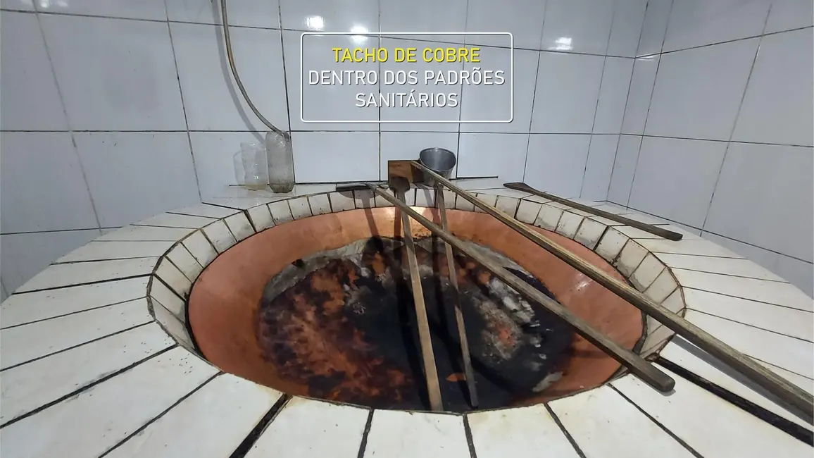 Foto 6 de Chácara com 7 quartos à venda, 30000m2 em Agrolandia - SC