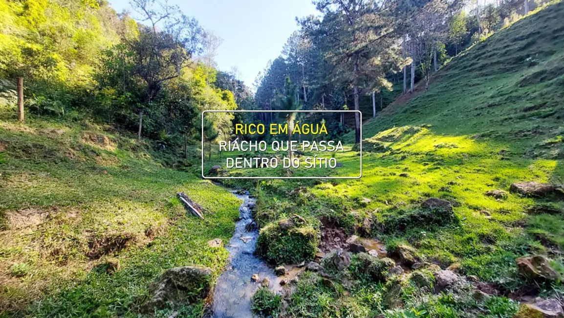 Foto 4 de Chácara com 7 quartos à venda, 30000m2 em Agrolandia - SC