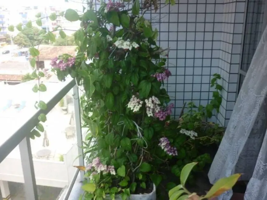 Cobertura com 3 quartos à venda, 160m2 em São Bento, Cabo Frio - RJ - imagem 4 Foto 4 de Cobertura com 3 quartos à venda, 160m2 em São Bento, Cabo Frio - RJ