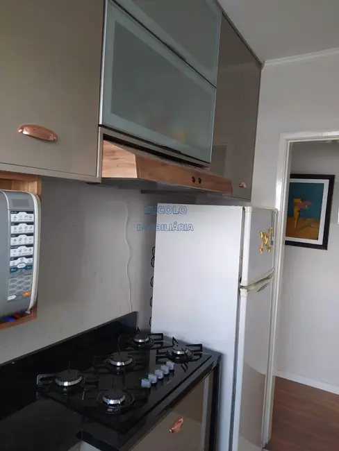 Foto 7 de Casa com 2 quartos para alugar, 50m2 em Vila Euclides, Sao Bernardo Do Campo - SP