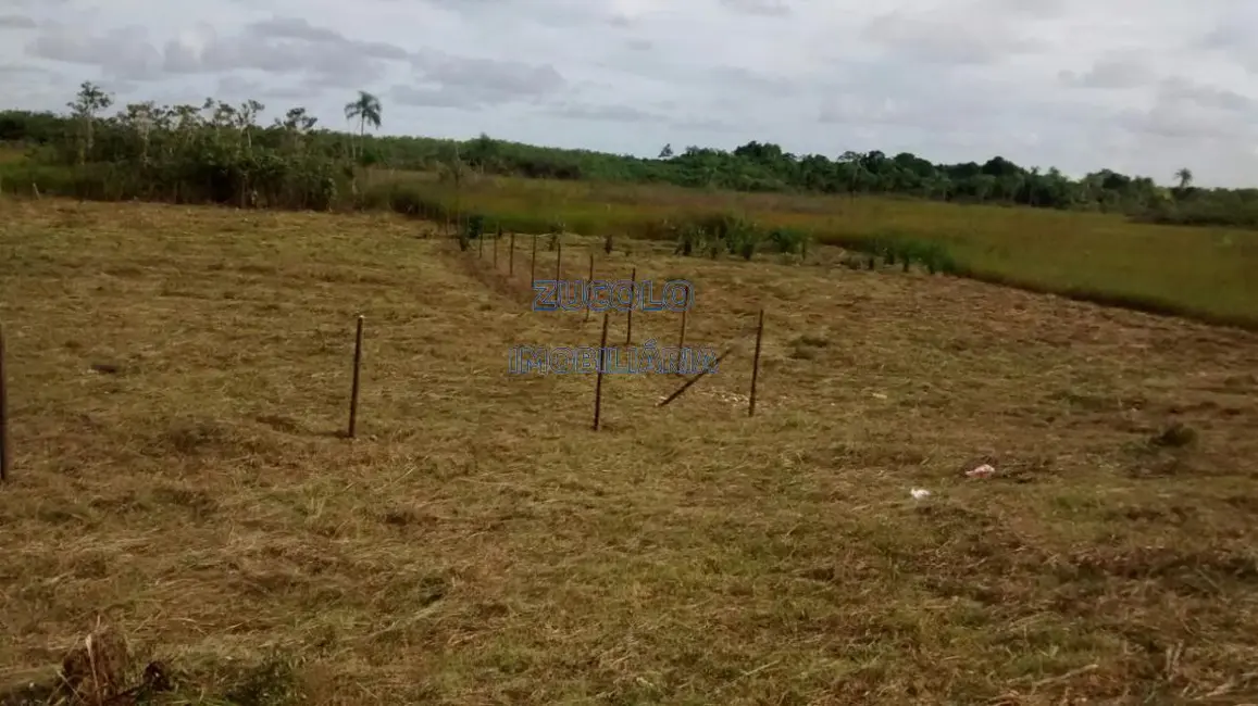 Foto 3 de Terreno / Lote à venda, 6000m2 em Iguape - SP