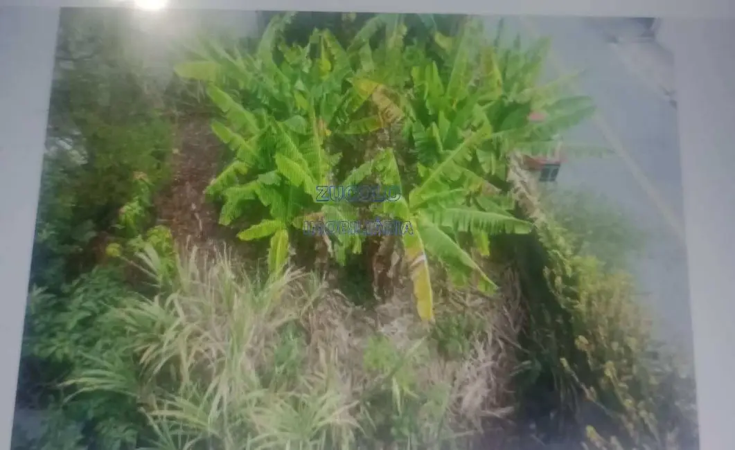 Foto 2 de Terreno / Lote à venda, 230m2 em Sao Bernardo Do Campo - SP