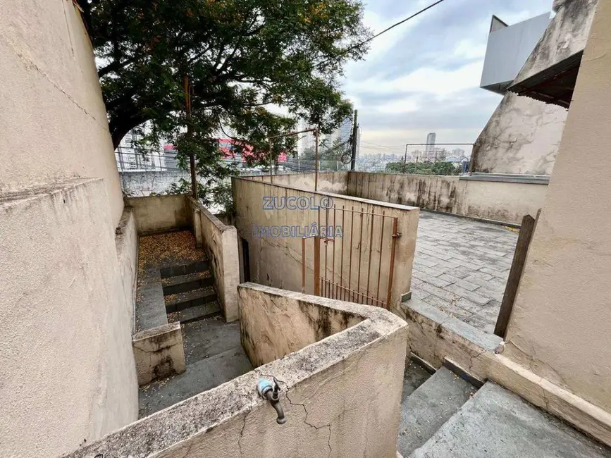 Foto 7 de Casa com 1 quarto para alugar, 100m2 em Baeta Neves, Sao Bernardo Do Campo - SP