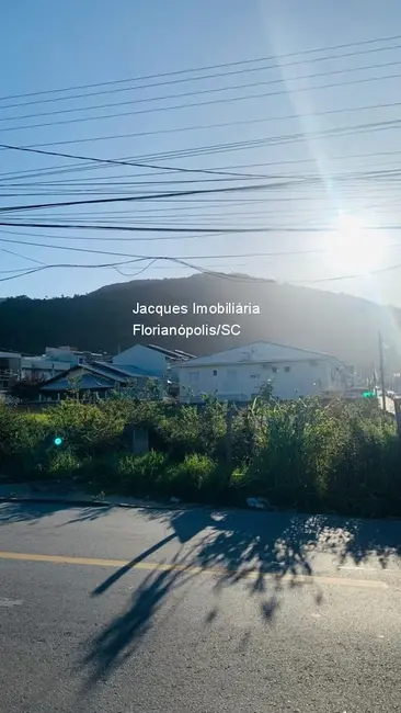 Foto 7 de Terreno / Lote à venda, 915m2 em Ingleses do Rio Vermelho, Florianopolis - SC