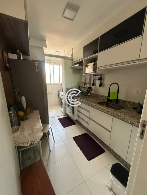 Apartamento com 3 quartos à venda, 67m2 em Parque Brasília, Campinas - SP - imagem 8 Foto 8 de Apartamento com 3 quartos à venda, 67m2 em Parque Brasília, Campinas - SP