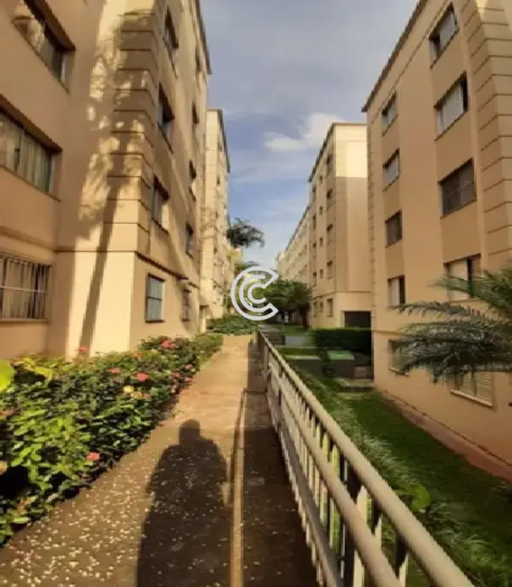 Foto 1 de Apartamento com 3 quartos à venda, 60m2 em Jardim Márcia, Campinas - SP