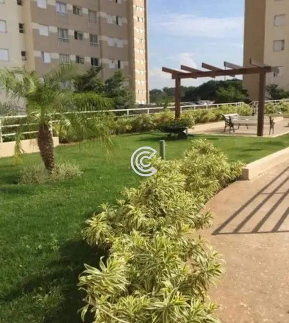 Apartamento com 3 quartos à venda, 62m2 em Valinhos - SP - imagem 6 Foto 6 de Apartamento com 3 quartos à venda, 62m2 em Valinhos - SP